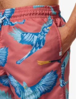 Maui Graphic-print Swim Shorts -Fit & Flow Clothing Sales Store R04155305 MULTICOLOURED ALT04